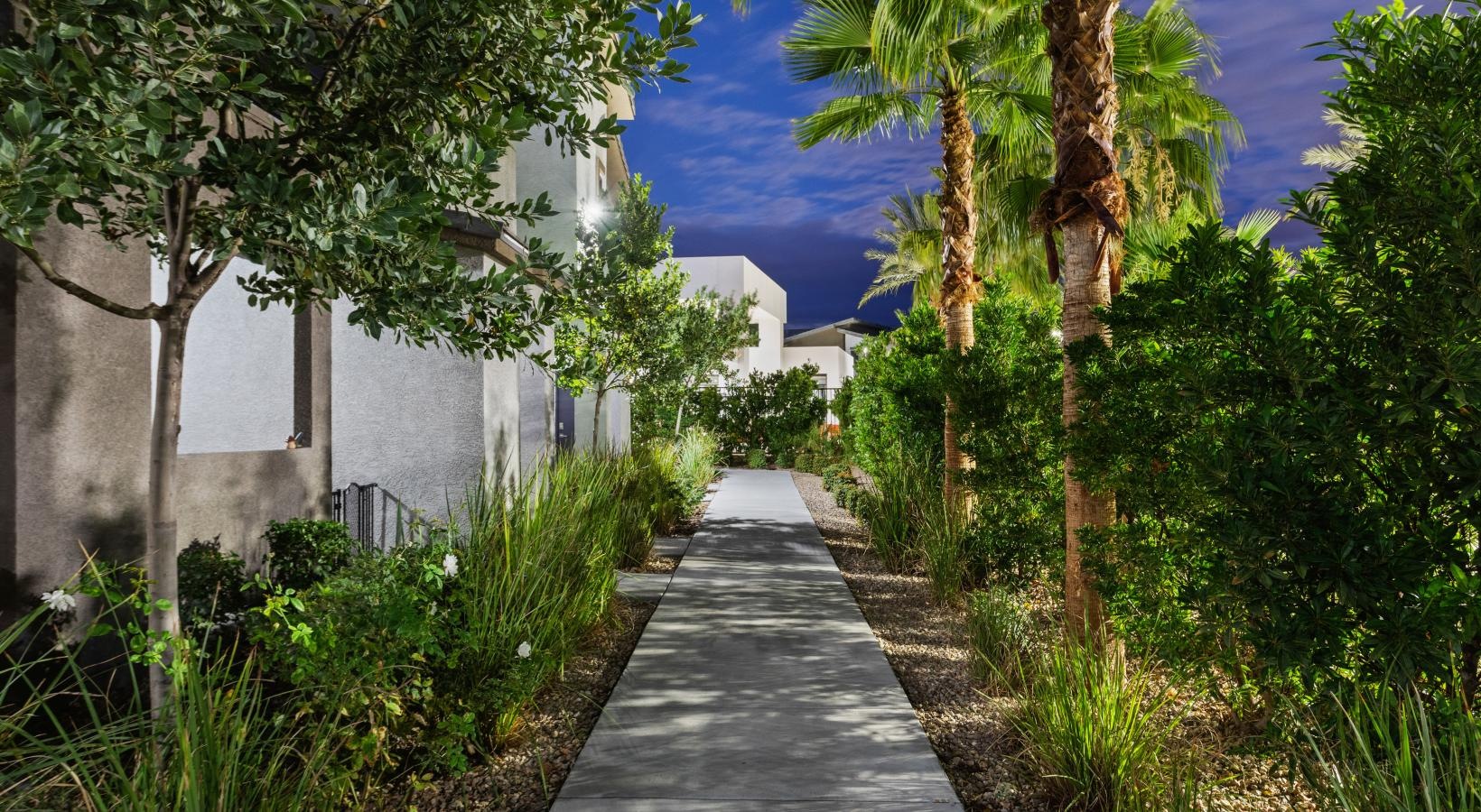 The essence of exceptional living a path with trees and plants on the side